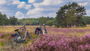 Fietsvakantie